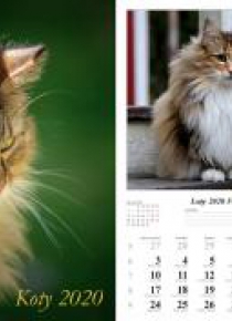 Kalendarz 2020 Koty 13 planszowy RADWAN