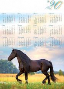 Kalendarz 2020 jednoplanszowy Koń
