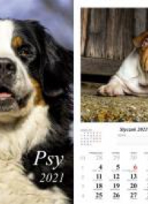 Kalendarz 2021 Psy 13 planszowy RADWAN