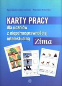 KP dla uczniów z niepełnosprawnością...Zima