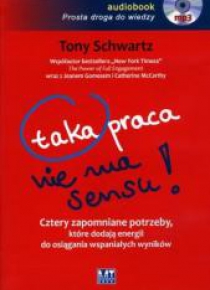 Taka praca nie ma sensu! Audiobook