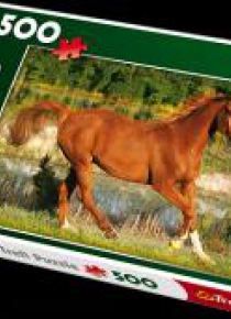 Puzzle 500 Piękno galopu TREFL
