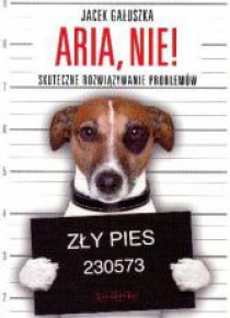 Aria, nie! Skuteczne rozwiązywanie problemów