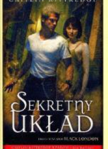 Sekretny układ