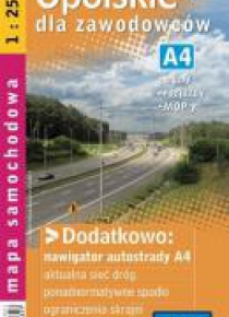 Opolskie dla zawodowców TIR mapa dla zawodowców