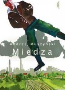 Miedza