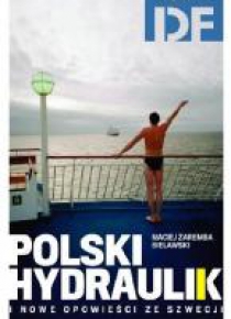 Polski hydraulik