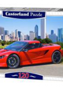 Puzzle 120 K-1 Attack CASTOR