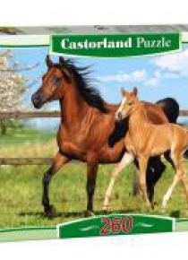 Puzzle 260 Konie CASTOR