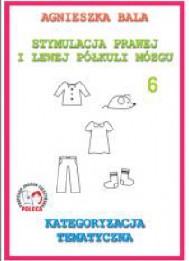 Stymulacja prawej i lewej półkuli 6 Kategoryzacja