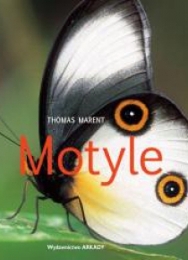 Motyle