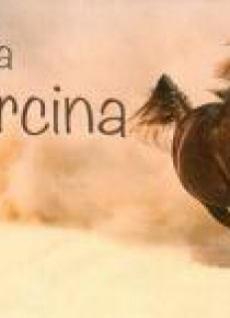 Imiona - Dla Marcina