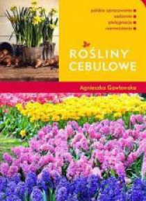 Rośliny cebulowe