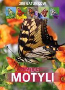 Atlas motyli. 250 gatunków