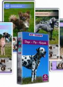 Kwartet - Psy. Karty do gry Cartamundi