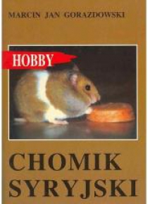 Chomik syryjski