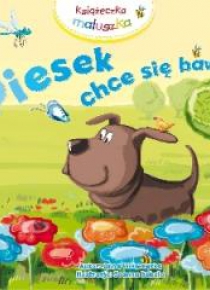 Piesek chce się bawić