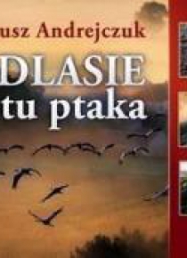 Podlasie z lotu ptaka