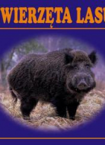 Zwierzęta lasu harmonijka