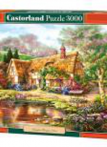 Puzzle 3000 Twilight at Woodgreen Pond CASTOR