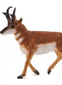 Widłoróg ANIMAL PLANET
