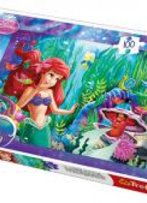 Puzzle 100 Zabawa w chowanego Princess TREFL