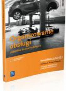 Organizowanie obsługi pojazdów samoch. M.42.1