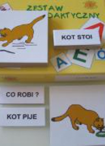 Zestaw dydaktyczny. Co robi kot?