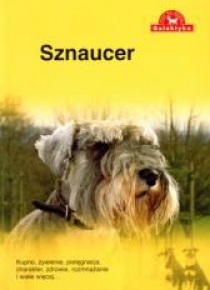Pies na medal. Sznaucer