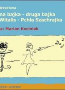 Jedna bajka - druga bajka... Audio CD