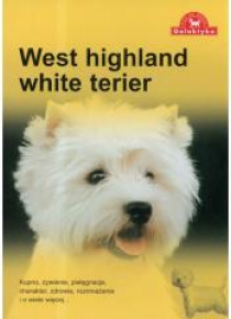 Pies na medal. West highland white terier
