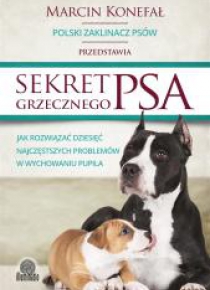 Sekret grzecznego psa