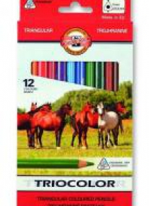 Kredki Triocolor 12 kolorów