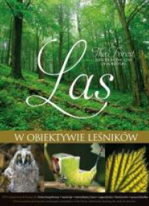 Las w obiektywie leśników