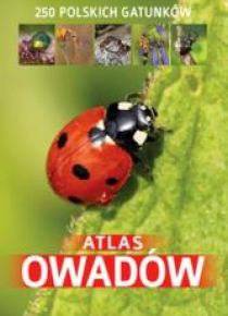 Atlas owadów. 250 polskich gatunków