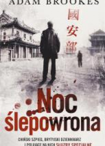 Noc ślepowrona