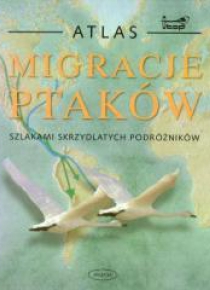 Migracje Ptaków Szlakami Skrzydlatych Podróżników