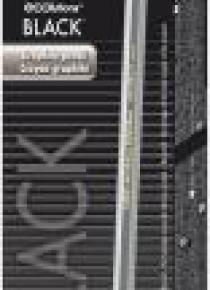 Ołówek Evolution Black (12szt) BIC