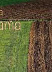 Imiona - Dla Adama
