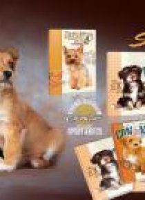 Zeszyt A5/16K linia 1070 Sweetie (20szt)