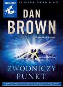 Zwodniczy punkt audiobook