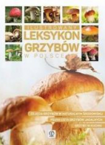 Expert. Ilustrowany leksykon grzybów w Polsce