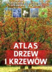 Atlas drzew i krzewów SBM