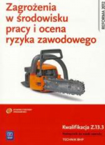 Zagroż. w środ. pracy i ocena ryzyka Kwal. Z.13.3