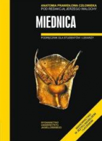 Anatomia prawidłowa człowieka. Miednica