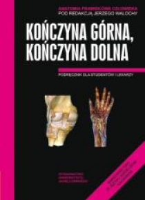 Anatomia prawidłowa człowieka. Koń.górna,koń. dol.