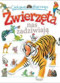 Ciekawe dlaczego. Zwierzęta nas zadziwiają