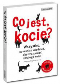 Co jest, kocie? Wszystko, co musisz wiedzieć...