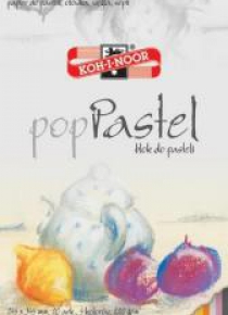 Blok do pasteli PPastel 245x345 20 ark biały 220g