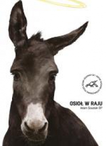 Osioł w raju
